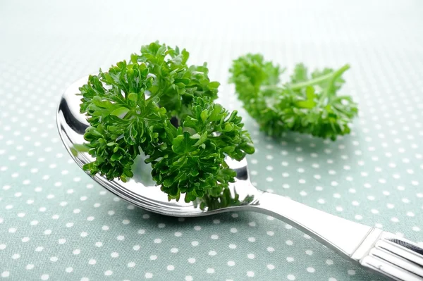 Parsley — Stock Photo, Image