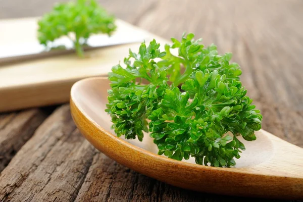 Parsley — Stock Photo, Image