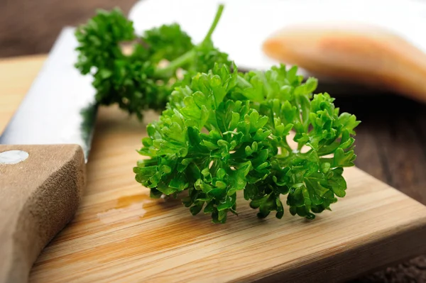 Parsley — Stock Photo, Image