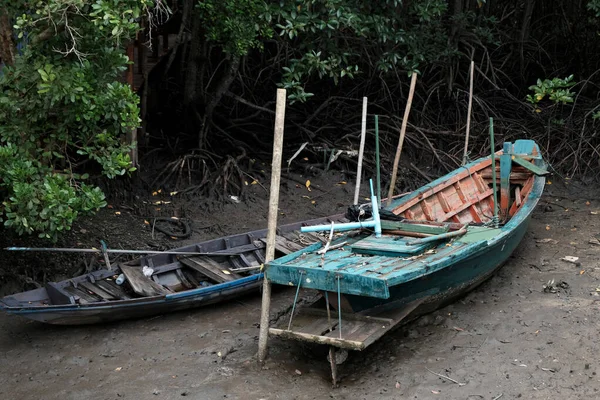 Old Rowing Boat Mangrove Forest Thailand — Stock Fotó