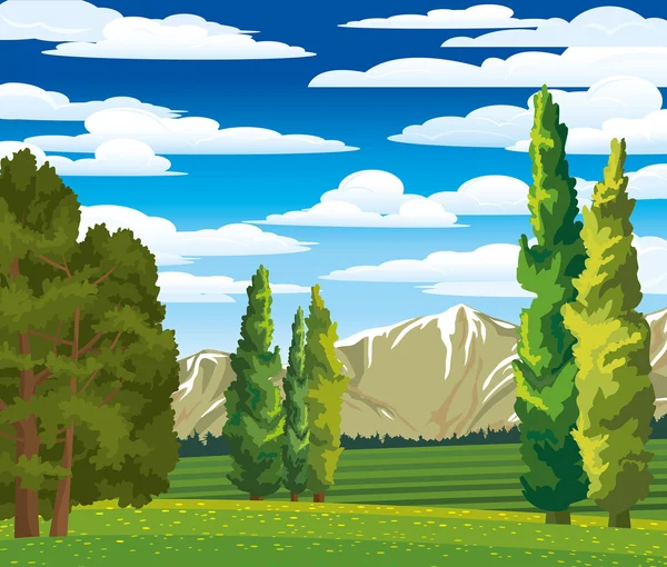 Летний пейзаж с кипарисом и лугом — стоковый вектор