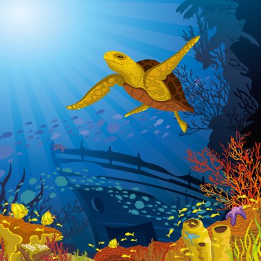 renkli mercan sarı kaplumbağa ile