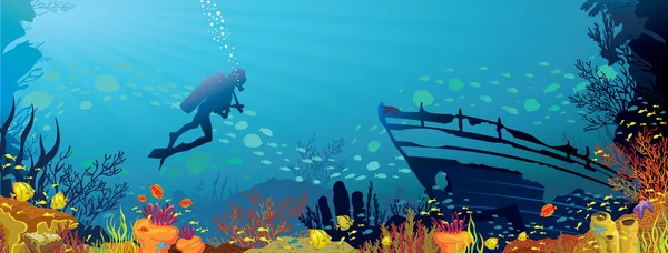 renkli mercan resif balık ve dalgıç