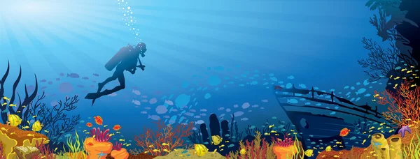 renkli mercan resif balık ve dalgıç