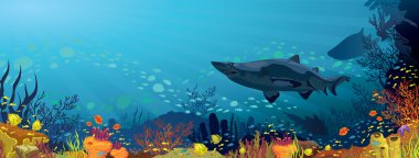 Coral reef köpekbalıkları ve balık silüeti