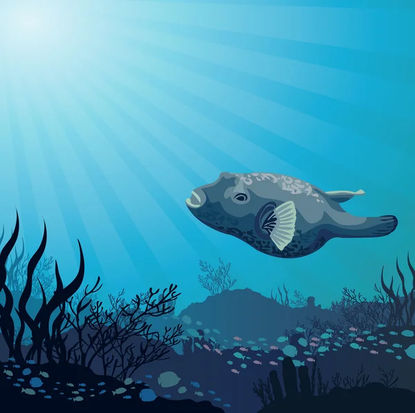 Gros poissons et coraux — Image vectorielle