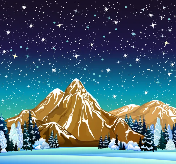 Winter nacht landschap met sterrenhemel — Stockvector