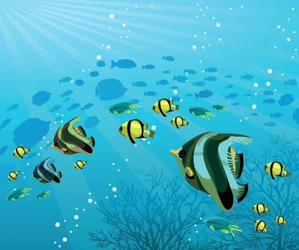 바다에서 색된 물고기의 그룹 — 스톡 벡터