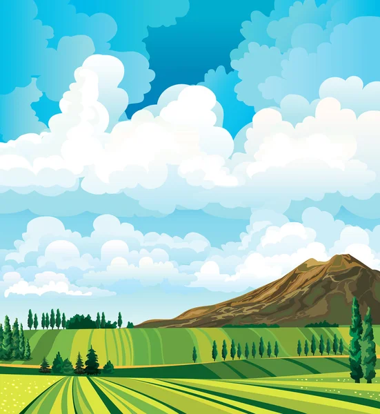 Paysage estival avec prairie, cyprès, montagne et nuages — Image vectorielle