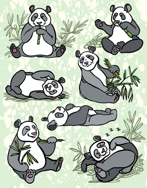 Ensemble de panda dessin animé — Photo