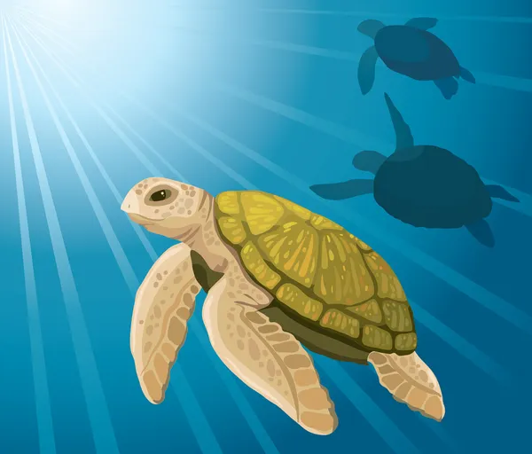Kreslený želvy a moře — Stockový vektor