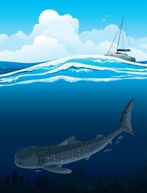 Whale shark and boat clipart