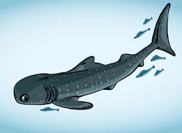 Pesce e squalo balena . — Vettoriale Stock