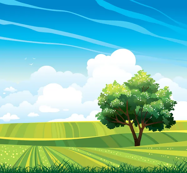 Blossom tree and green meadow — Stock Vector