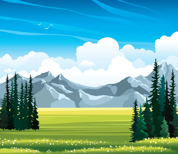 Paisaje de verano con abeto, prado y montañas . — Vector de stock