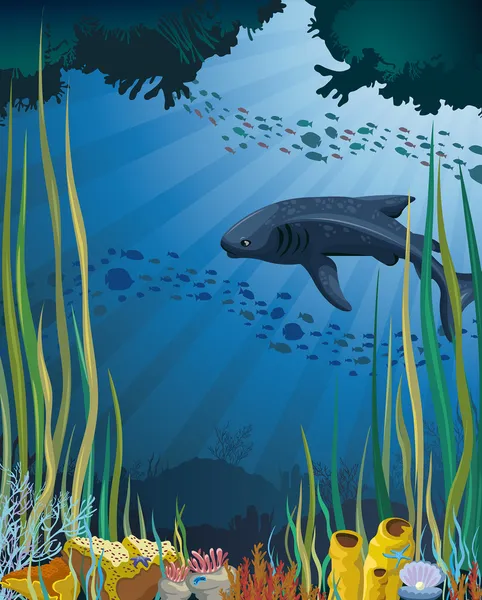Requin baleine et récif corallien . — Image vectorielle