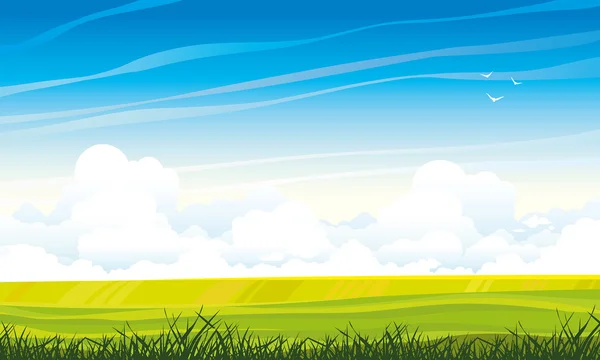 Paisaje de verano con prados y nubes — Vector de stock