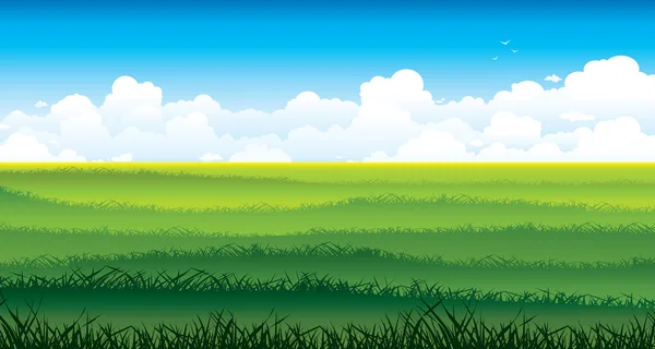 Paisaje con campo verde y nubes blancas en el cielo . — Vector de stock