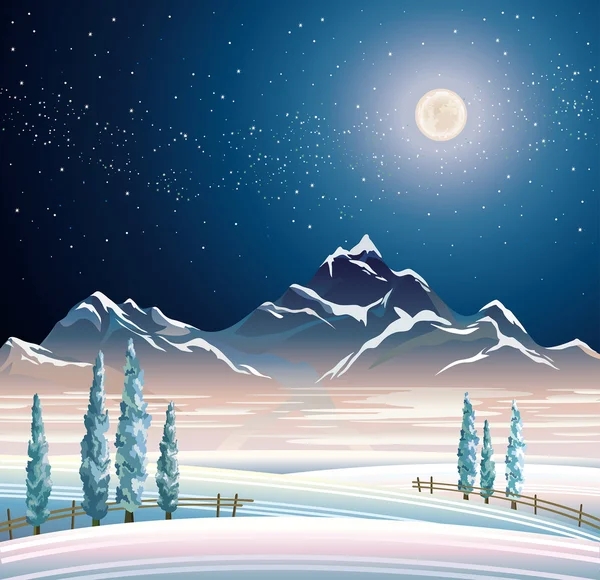Inverno paisagem noturna — Vetor de Stock