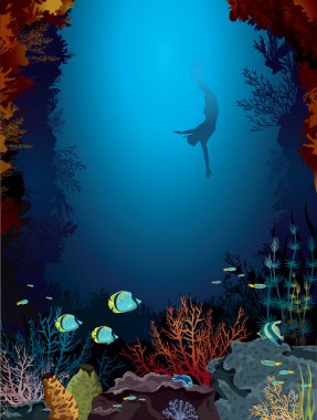 mercan ve freediver.