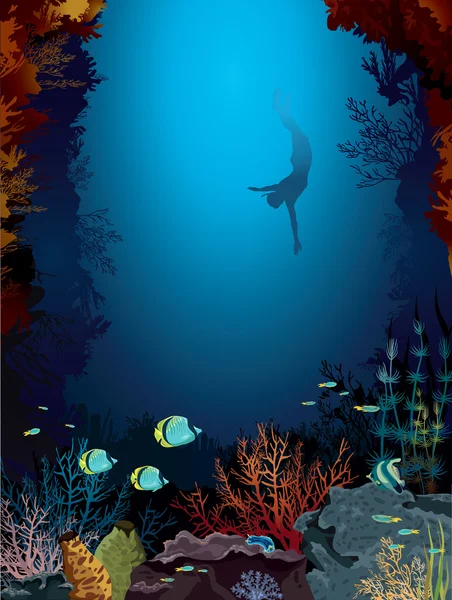 Récif corallien et plongeur . — Image vectorielle