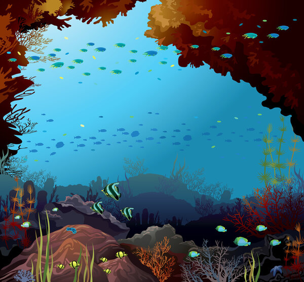 Coral reef and underwater creatures.