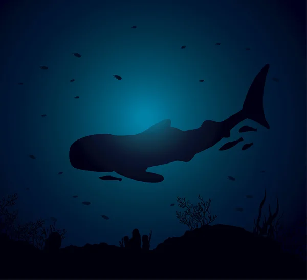 Silhuette velrybí žralok. — Stockový vektor
