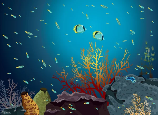 Coral reef en vlindervissen. — Stockvector