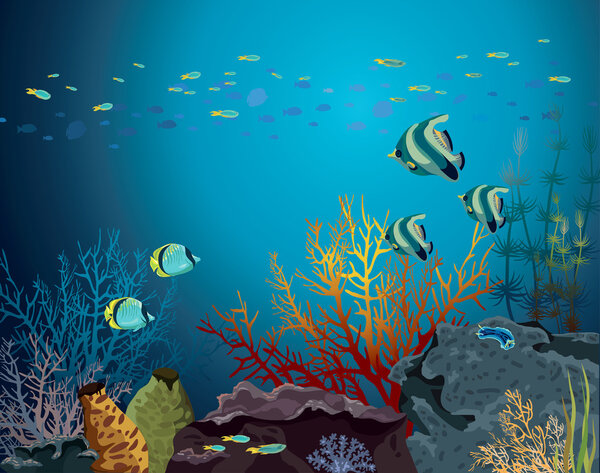 Coral reef and underwater creatures.