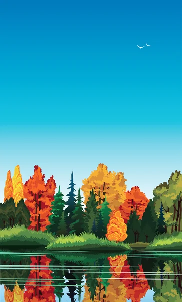 Autum naturaleza paisaje . — Vector de stock