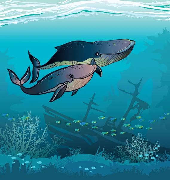 海のクジラのカップル — ストックベクタ
