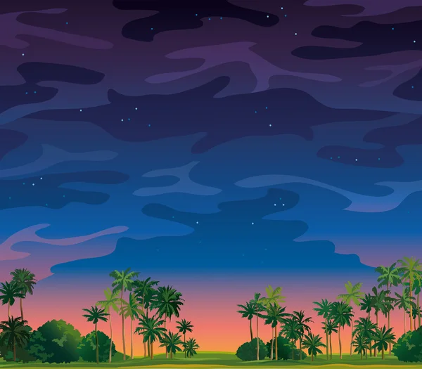 Noční tropická krajina. — Stockový vektor