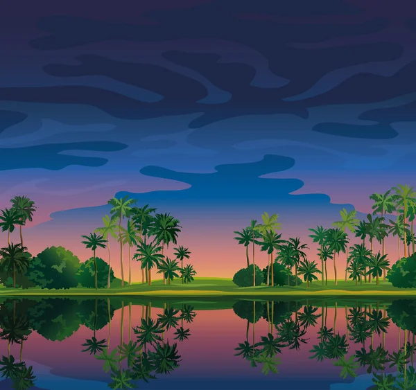 Тропический пейзаж с сансетным небом . — стоковый вектор