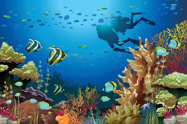 Coral reef en duikers. — Stockvector