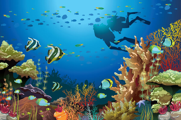 Coral reef and scuba divers.