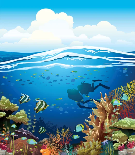 Coral reef en duikers. — Stockvector