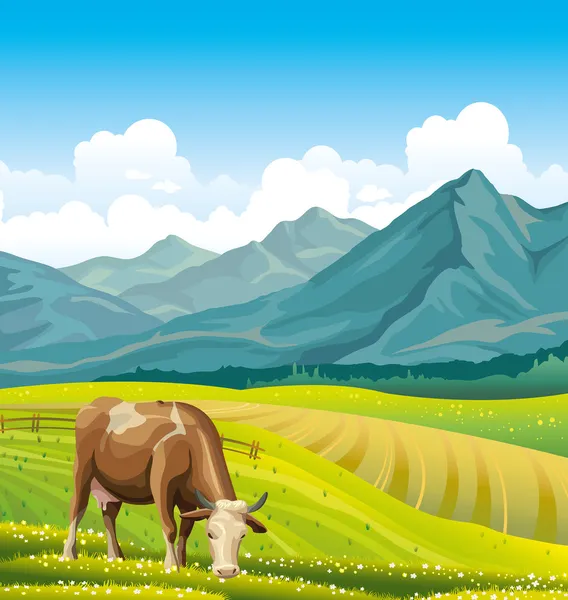 Vaca y prado verde . — Archivo Imágenes Vectoriales