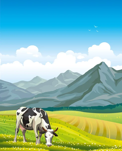 Cow and green meadow. — Stock Vector