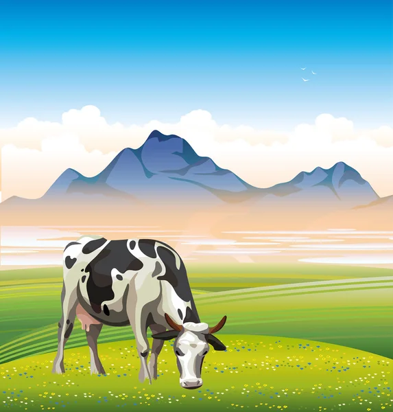 Cow and green meadow. — Stock Vector