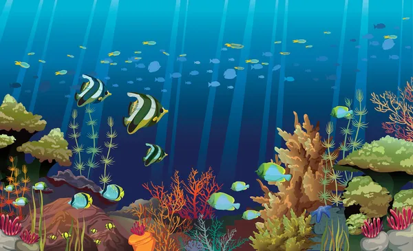  Arrecife de coral imágenes de stock de arte vectorial