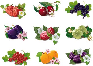 Set of ripe fruits clipart