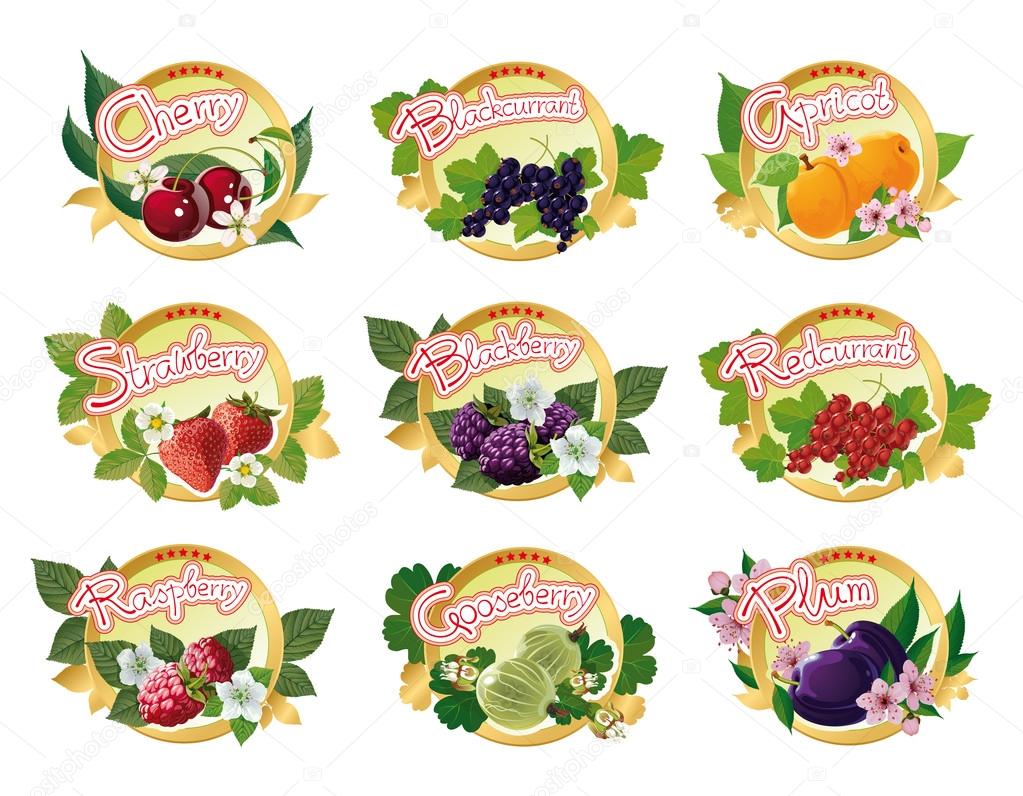 Set of colored labels for fruit jam
