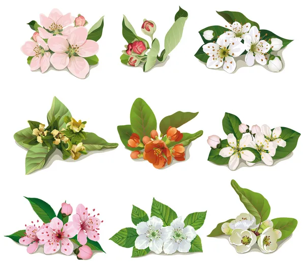 Conjunto de flores en árboles frutales — Archivo Imágenes Vectoriales