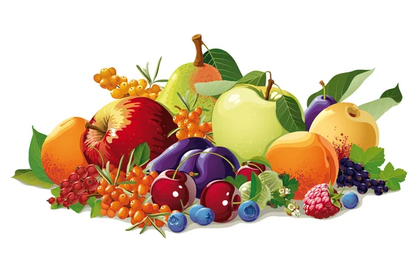 과일과 열매의 정 — 스톡 벡터