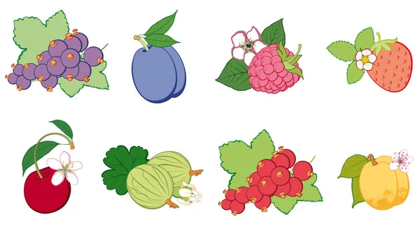 Σύνολο των φωτεινών φρούτων, αφηρημένη — Διανυσματικό Αρχείο