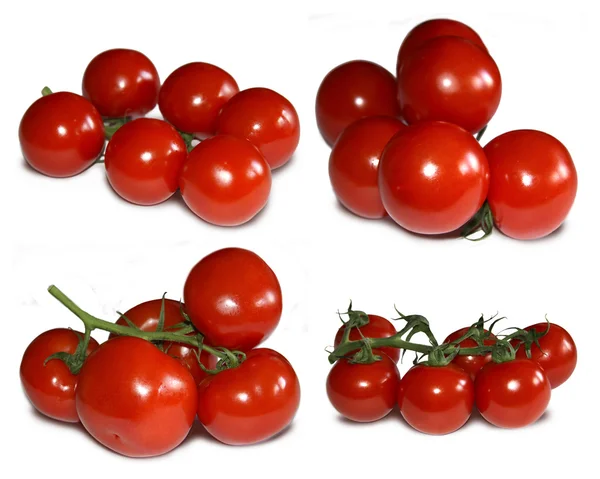 Set of tomato — Stock Photo, Image