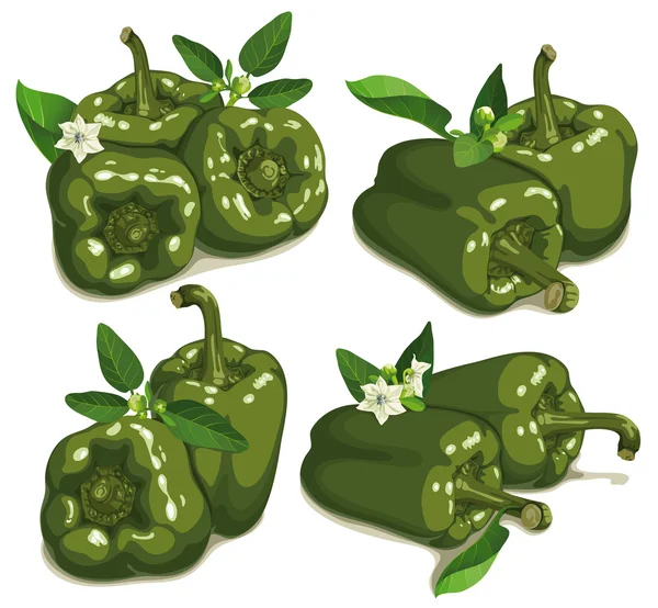 Set of green pepper — Stock Vector