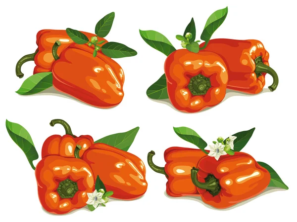 Set van Oranje peper — Stockvector