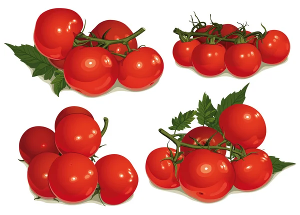 Conjunto de tomates, cacho —  Vetores de Stock