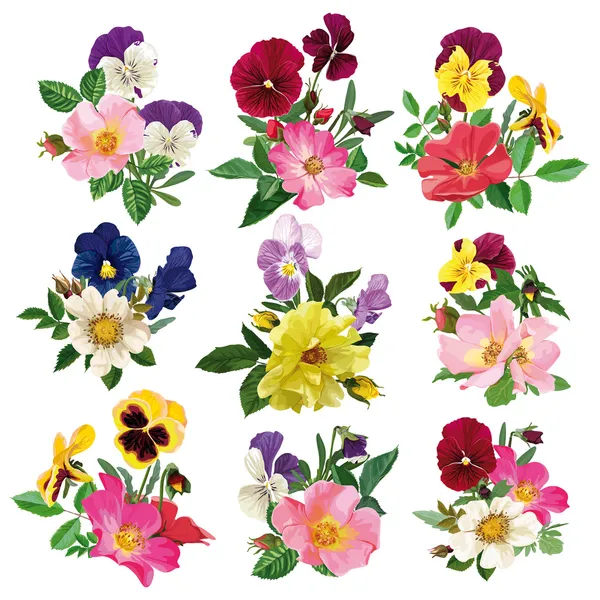 Set of the pansy and roses — Stock Vector